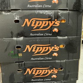 CAM ÚC NAVEL NIPPY S40