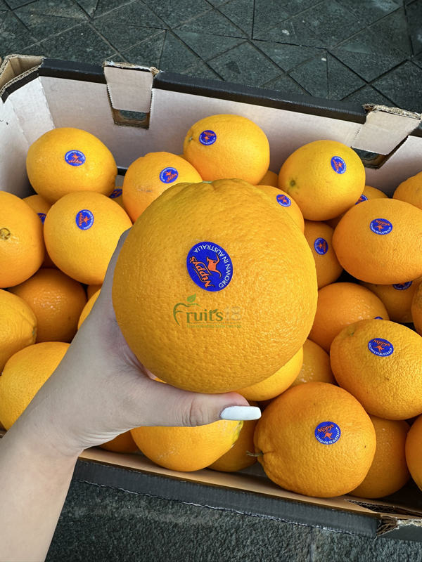 CAM ÚC NAVEL NIPPY S40 - Fruits18.com