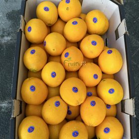 CAM ÚC NAVEL NIPPY S40