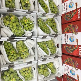 NHO SỮA 2C HỘP ĐỎ CÓ NẮP SHINE MUSCAT VIP