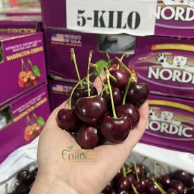 Cherry Gấu Nordic - Fruits18.com