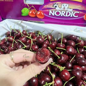 Cherry Gấu Nordic - Fruits18.com