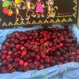 Cherry Smiling Coral - Fruits18.com