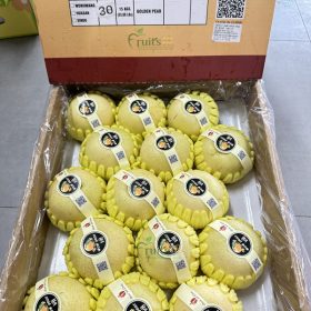 Lê Sữa N1F - Fruits18.com