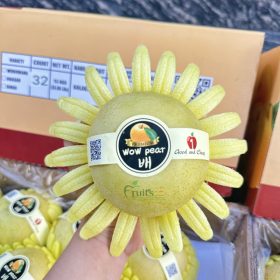Lê Sữa N1F - Fruits18.com