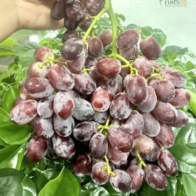 Nho Đỏ Ruby Rush hiệu Air Chief-Fruits18.com