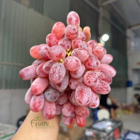 Nho đỏ Crimson - Fruits18.com