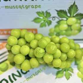 Nho sữa Quingwang - Fruits18.com