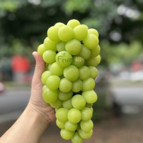 Nho sữa Quingwang - Fruits18.com