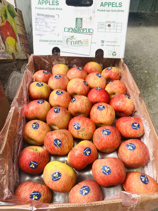 Táo Fuji Nam Phi - Fruits18.com