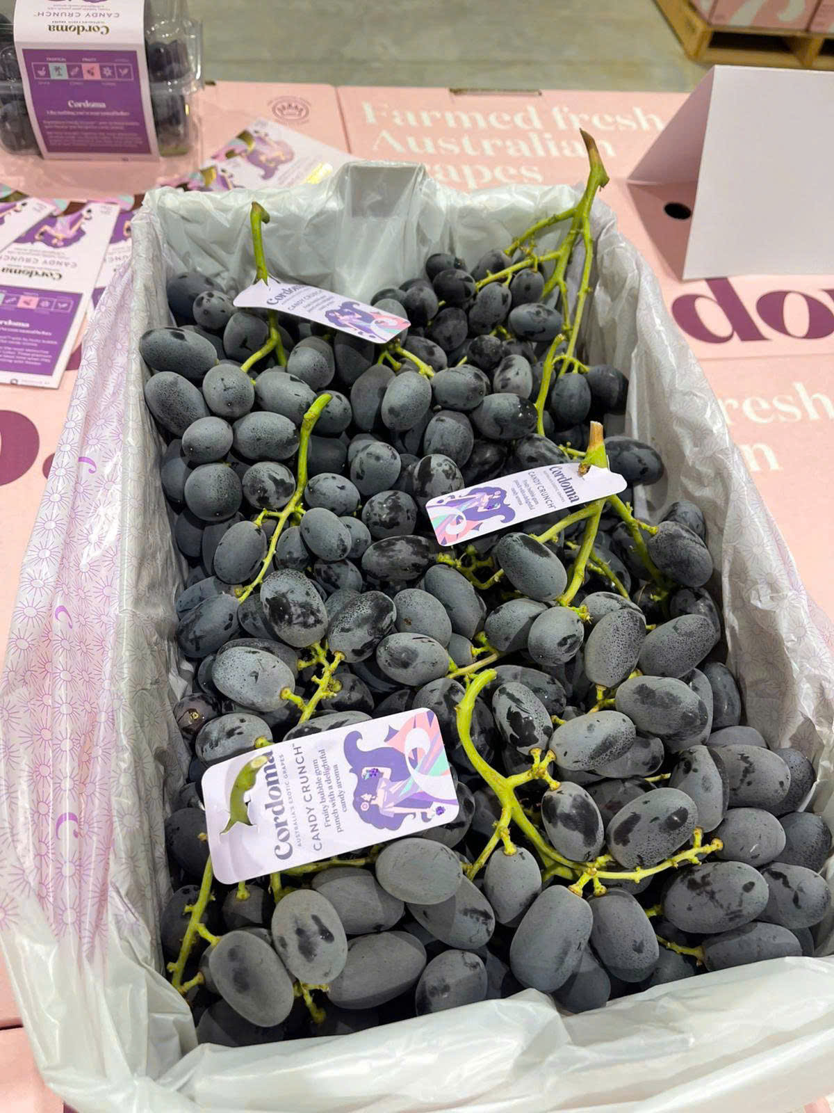  Nho đỏ Okuku – Úc