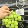Nho Xanh Autumn Crisp Fruitico (Úc)