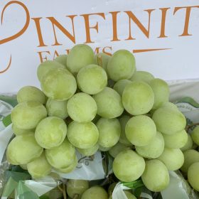 Nho Xanh Infinity (Úc)
