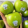 Táo Xanh hiệu Gấu Nordic